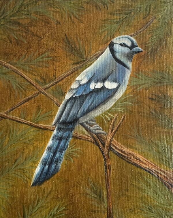Blue Jay Print