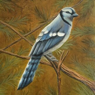Blue Jay Print