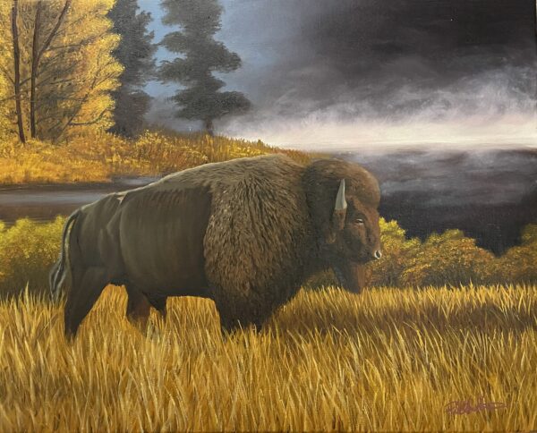 Bison Sunrise Print
