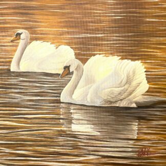 Swan Lake Print