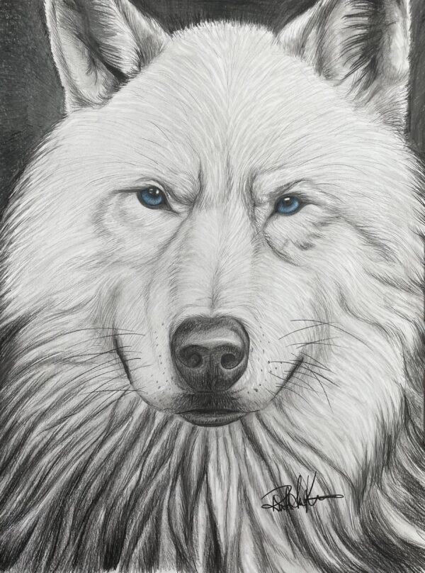 White Wolf Print
