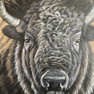 Bison Portrait