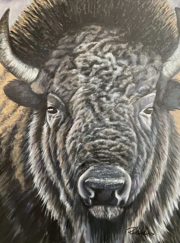 Bison Portrait